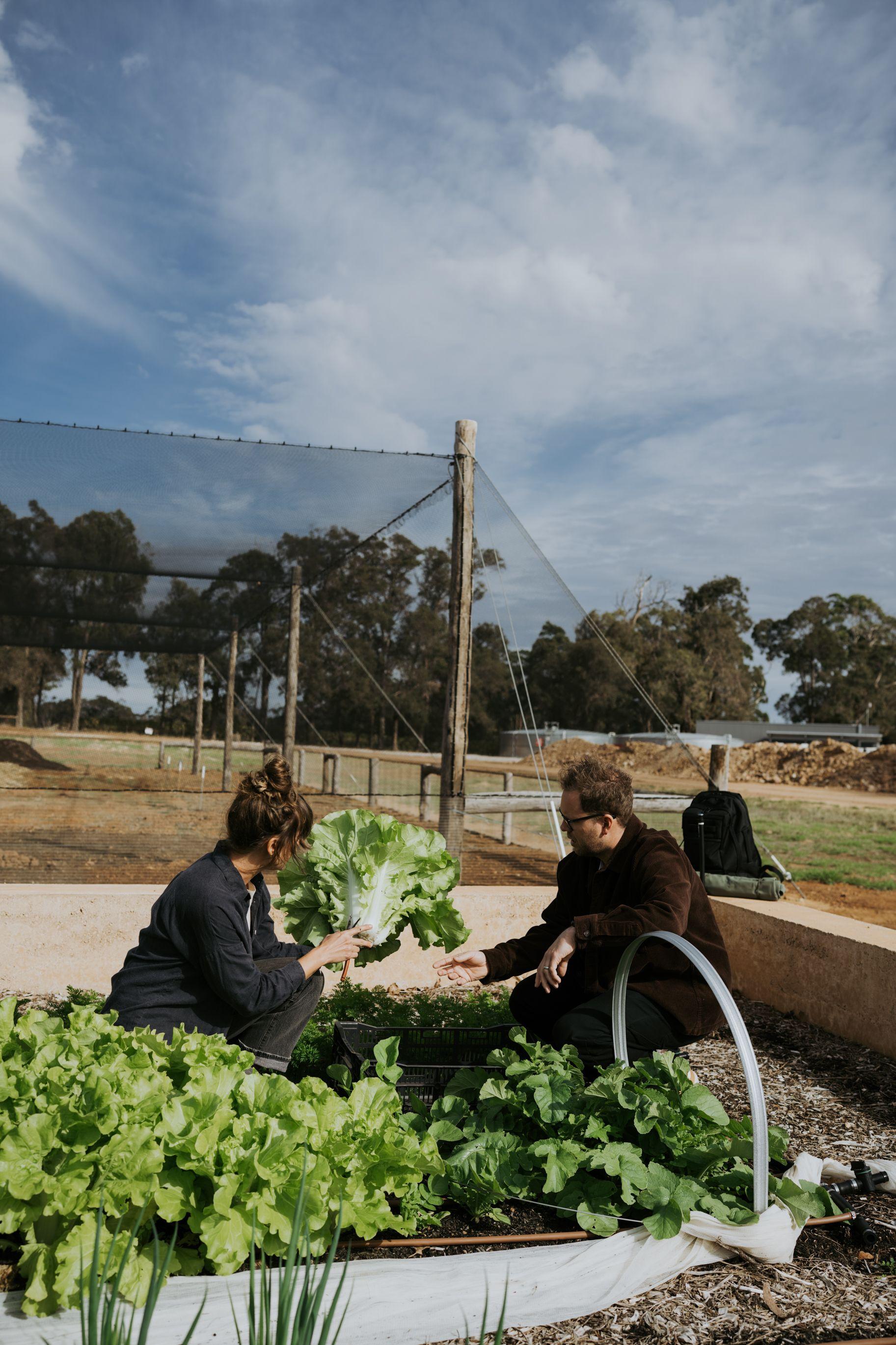 Wayfinder Wines & Chef Brendan Pratt in Residence event image
